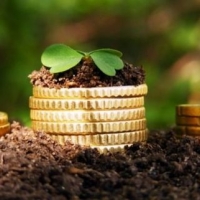 У Франківську затвердили ставки земельного податку на 2017 рік